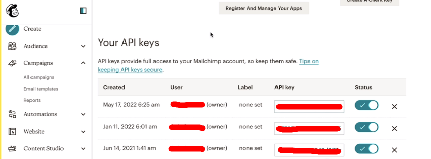 copy the newly created API Key