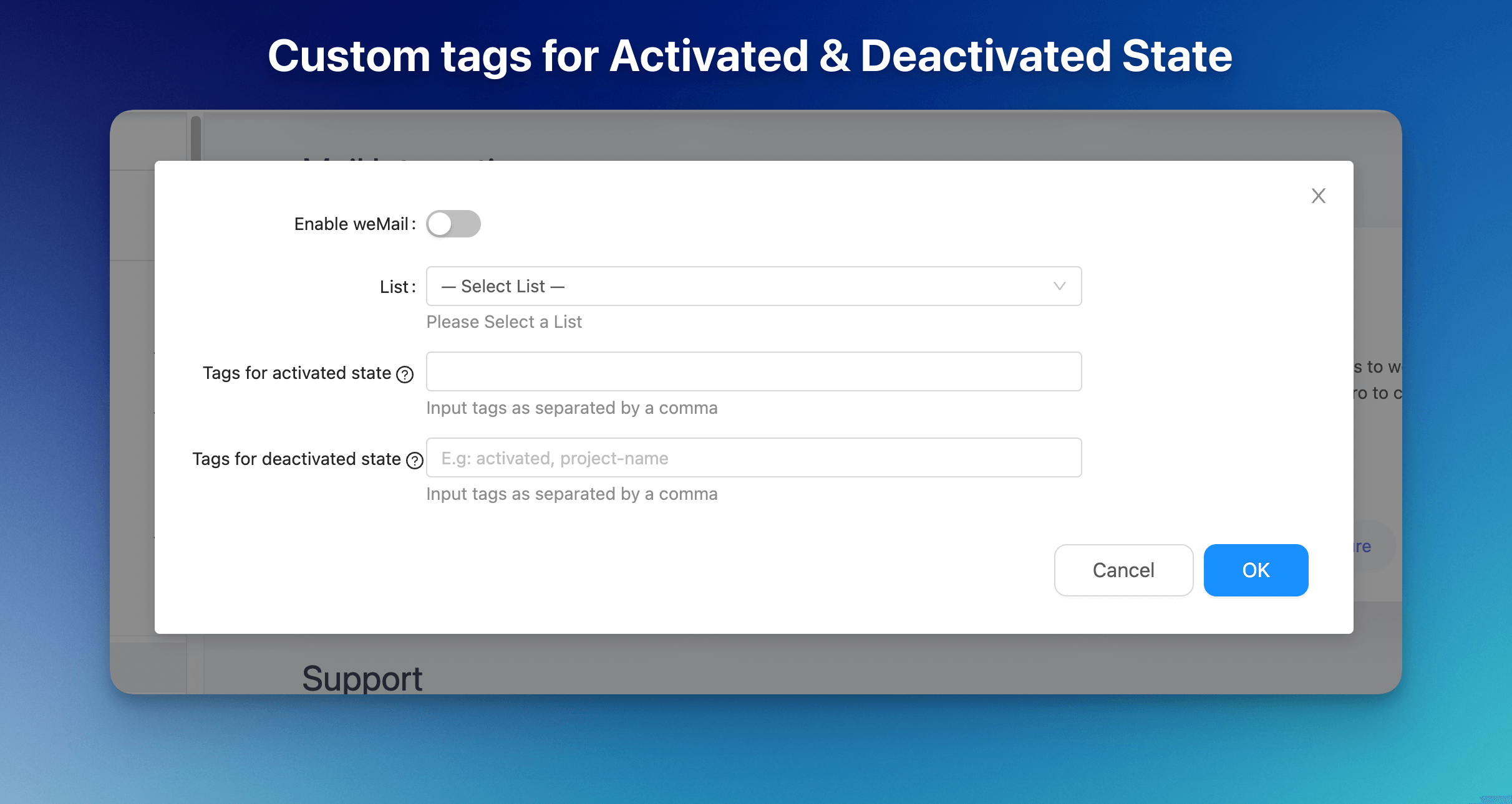 Custom Tags in weMail