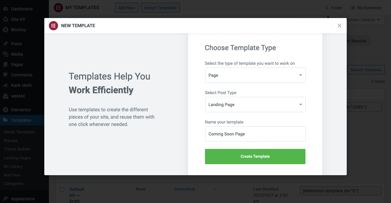 Type Template Information