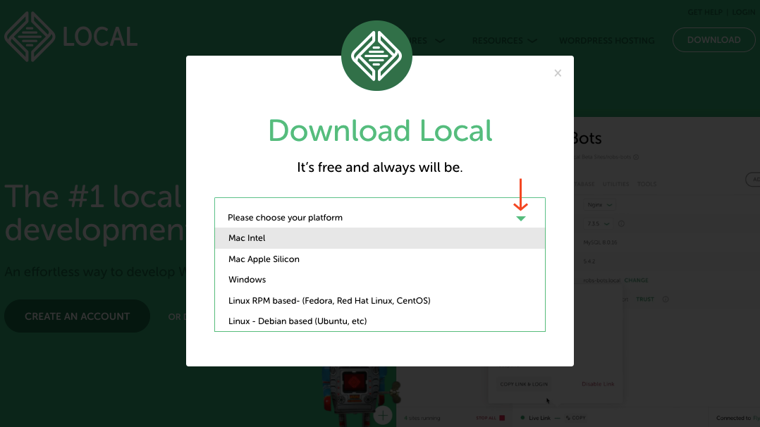 Download widget of Local WP