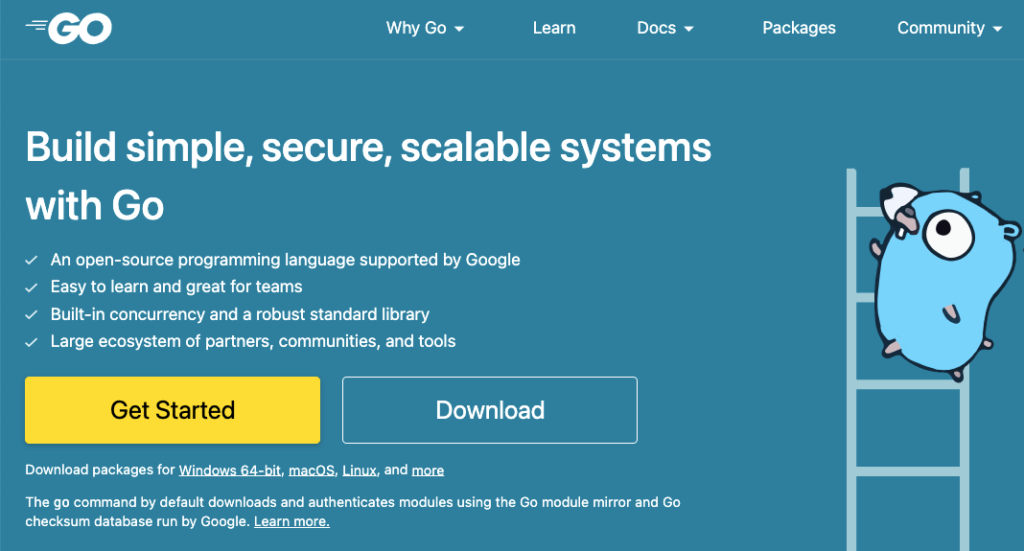 What Is the Future Programming Language? 17+ Code Languages for 2030