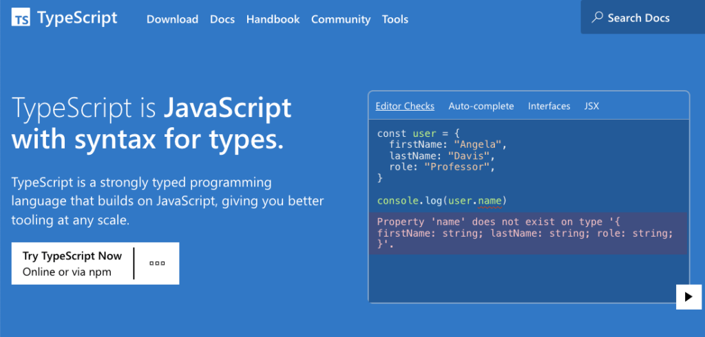 What Is the Future Programming Language? 17+ Code Languages for 2030